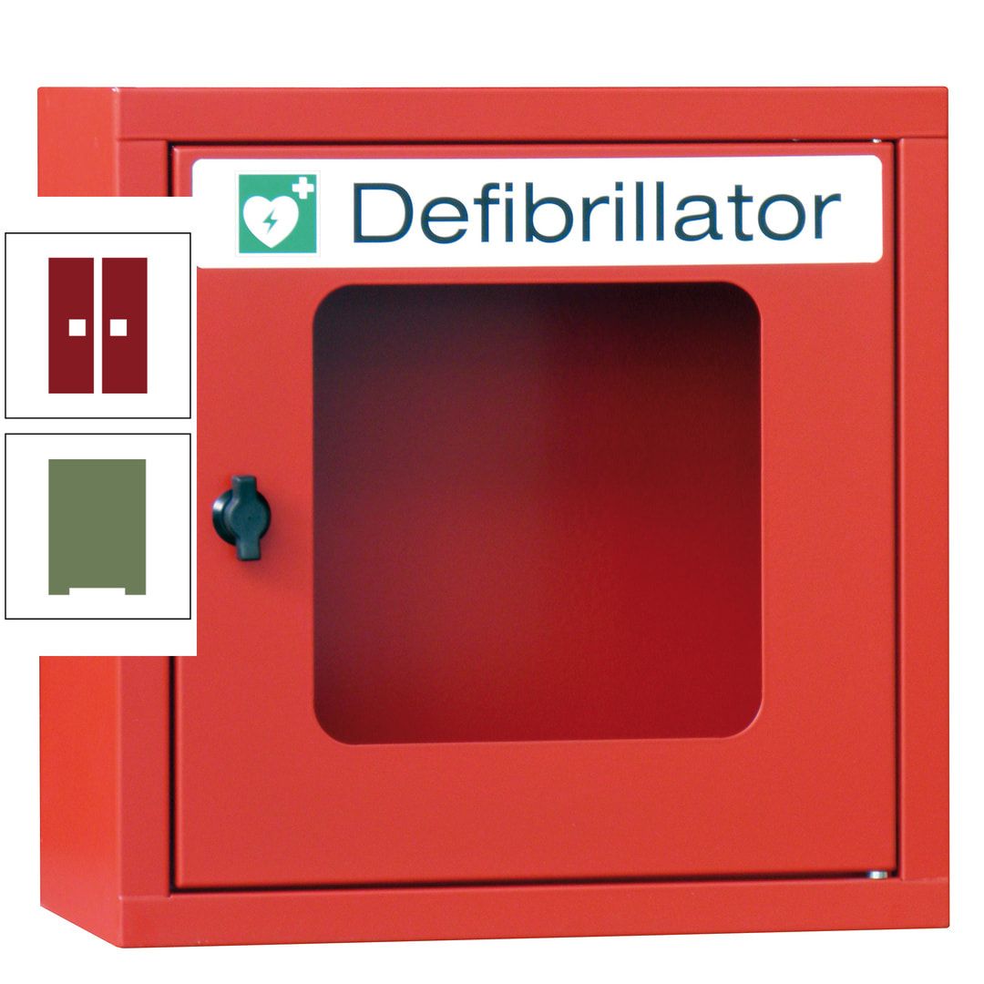 Defibrillatorenschrank - 400 x 400 x 200 mm (HxBxT) - Sichtfenster - anthrazitgrau