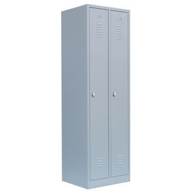 Garderobenschrank, Garderobenspind, 2 Abteile, 1.800 x 500 x 500 mm (HxBxT), Korpusfarbe: lichtgrau, Frontfarbe wählbar