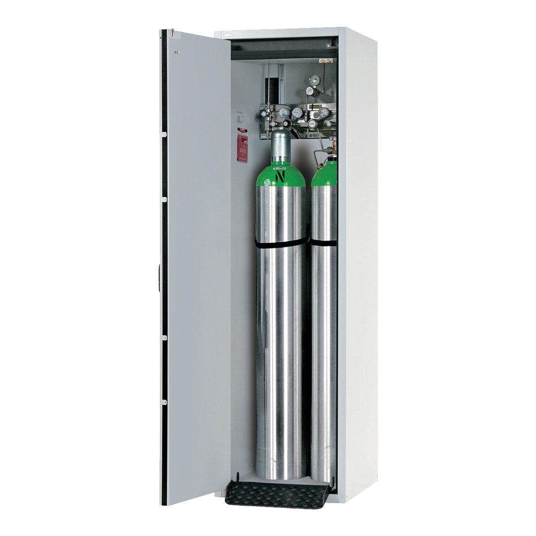 Druckgasflaschenschrank, Gasflaschenschrank, für 2 x 50 l Gasflaschen, Schutzgas, Feuerwiderstand G30, 2.050 x 598 x 616 mm (HxBxT), lichtgrau