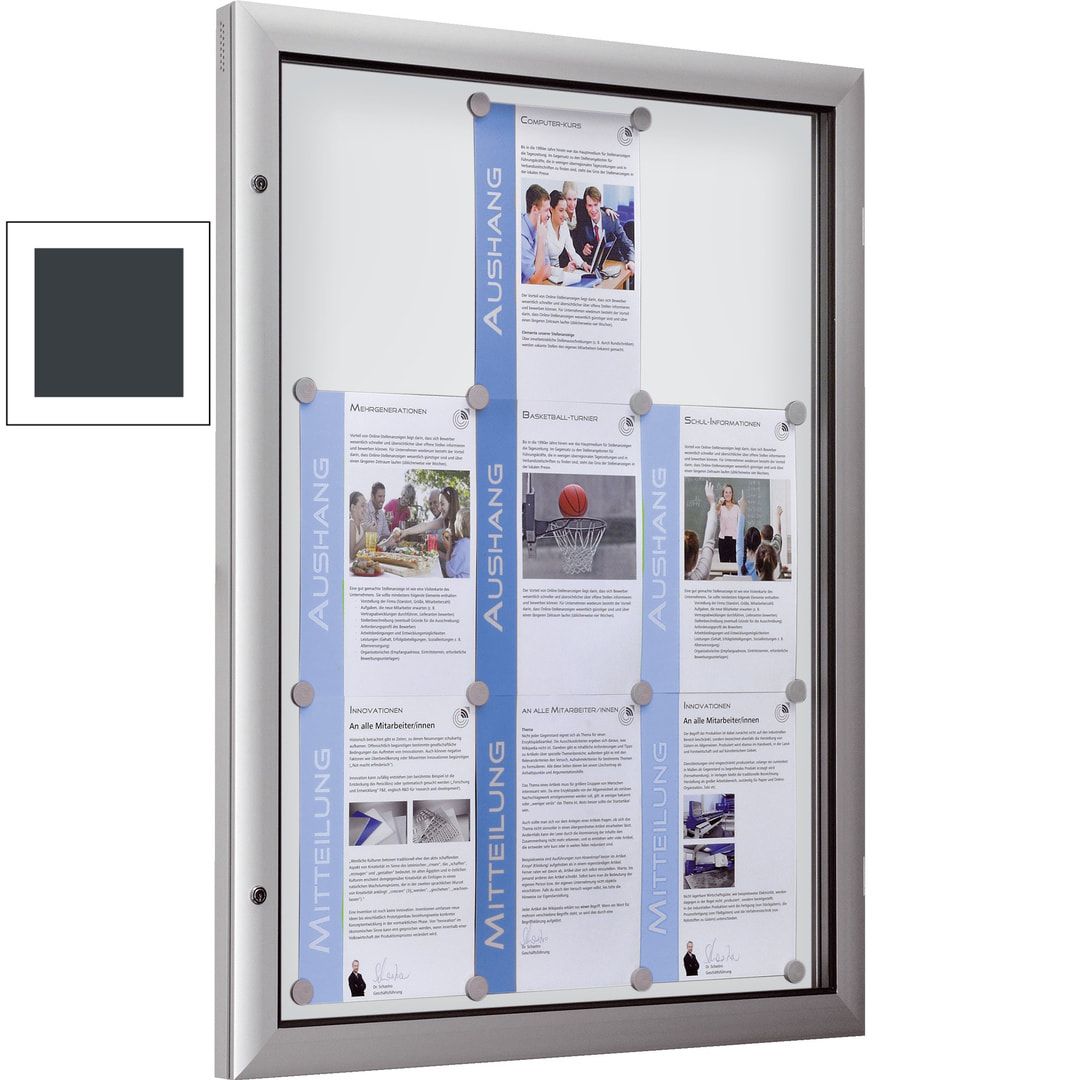 Alu Schaukasten, Schaufenster, Auslage, Werbekasten, extra flach - DIN A0, Hochformat, Magnet Rückwand in anthrazit, 1.380 x 1.025 x 43 mm (HxBxT)