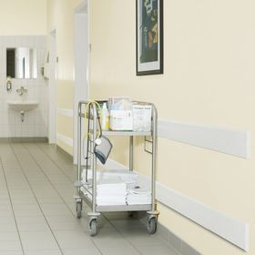 Wand Schrammschutz - Anfahrschutz für Wände und Flächen - verschiedene Größen - Prallschutz - Schutzleiste - Wandschutz - Flächenschutz