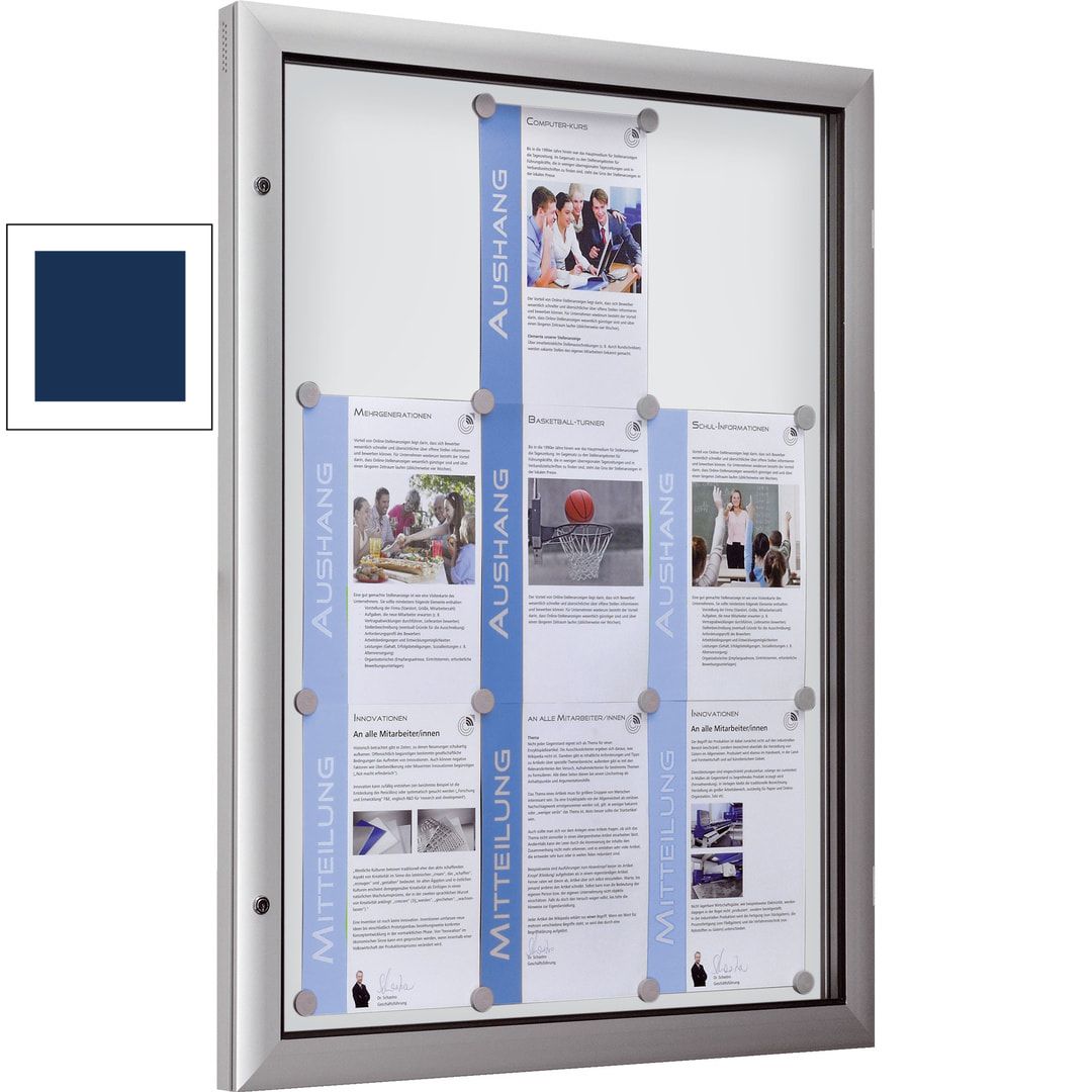 Alu Schaukasten, Schaufenster, Auslage, Werbekasten, extra flach - DIN A1, Hochformat, Magnet Rückwand in anthrazit, 1.025 x 800 x 43 mm (HxBxT)