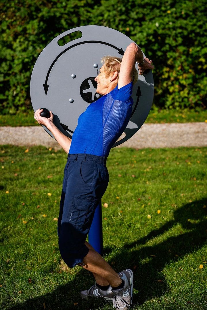 Twist und Flexrad, Fitness, Gleichgewichtstraining, Trainingsgerät Oberkörper, ergonomisch, 2 Nutzer, Fitness-App, 1.650 x 1.180 x 800 mm (HxBxT)
